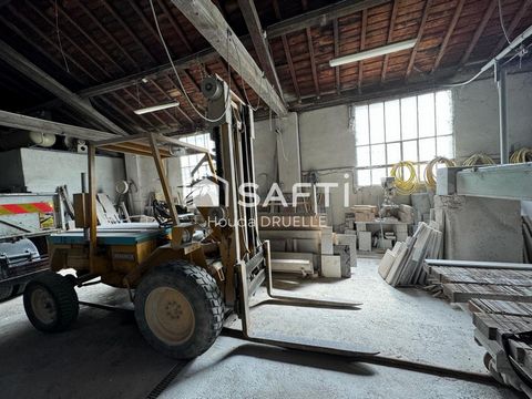 photo no. 9