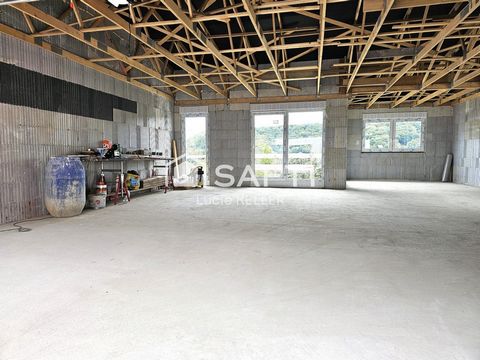 photo no. 6