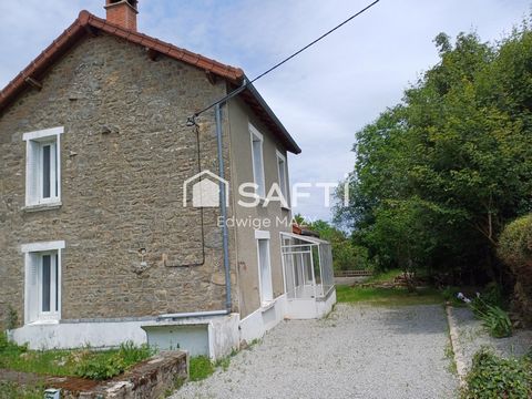 photo no. 11