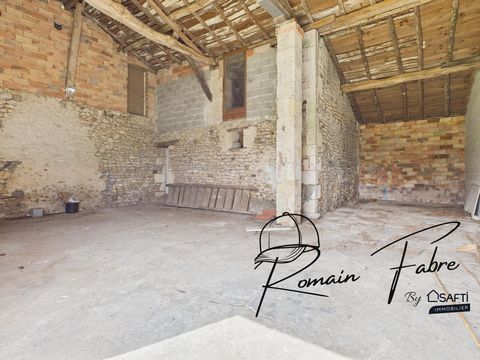photo no. 12