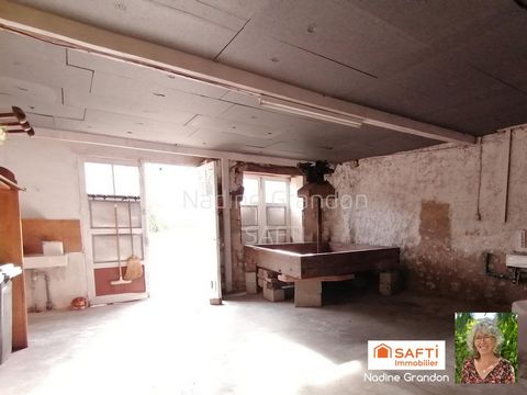 photo no. 15