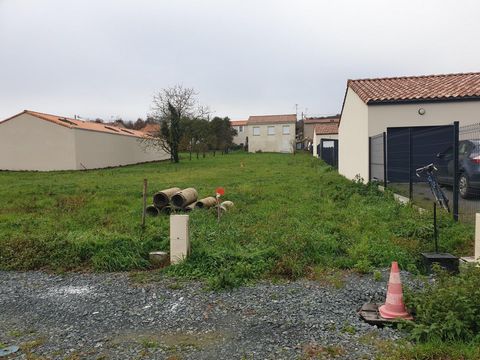 photo no. 2