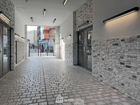 photo no. 7
