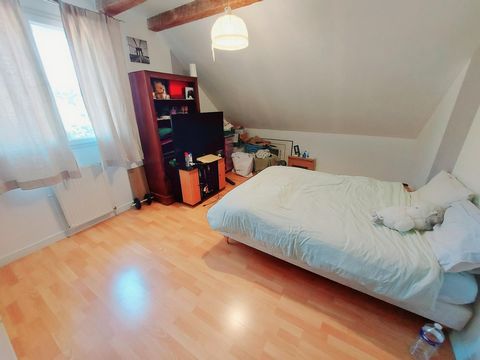 photo no. 10