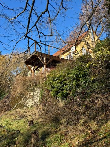 photo no. 11