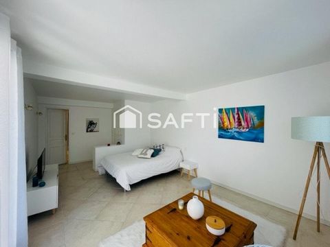 photo no. 11