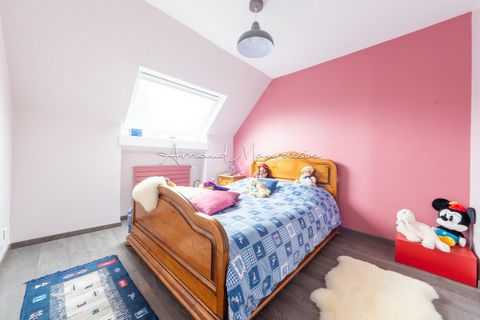 photo no. 10