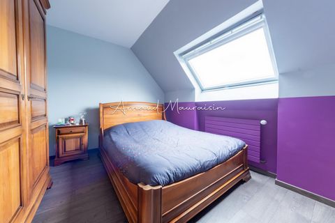 photo no. 12