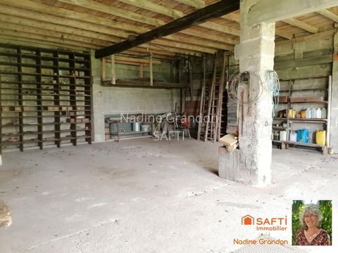 photo no. 15