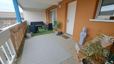 photo no. 12