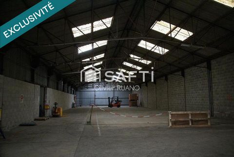 photo no. 9