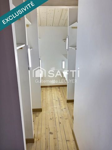 photo no. 11