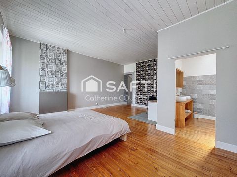 photo no. 12