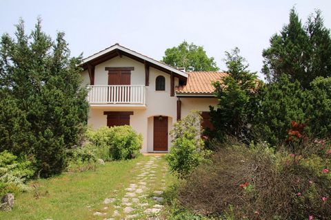 photo no. 3