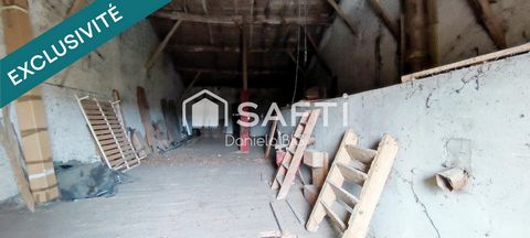 photo no. 11