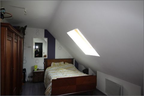 photo no. 8