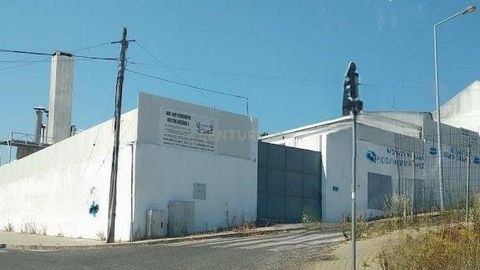 A Pastelaria Irmãos Unidos Lda. está disponível para venda, incluindo toda a sua estrutura física, equipamentos de ponta e a operação da empresa. Localizada estrategicamente nos Moinhos da Funcheira, Amadora, e com mais de 20 anos de experiência desd...