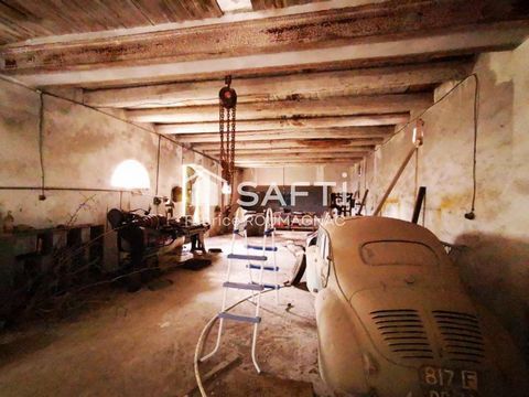 photo no. 10