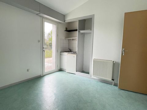 photo no. 12
