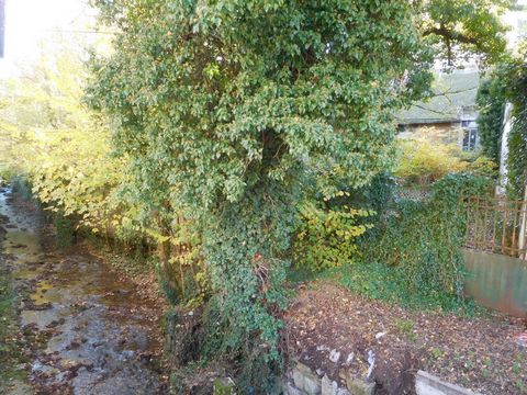 photo no. 12