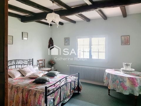 photo no. 10
