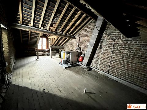 photo no. 8