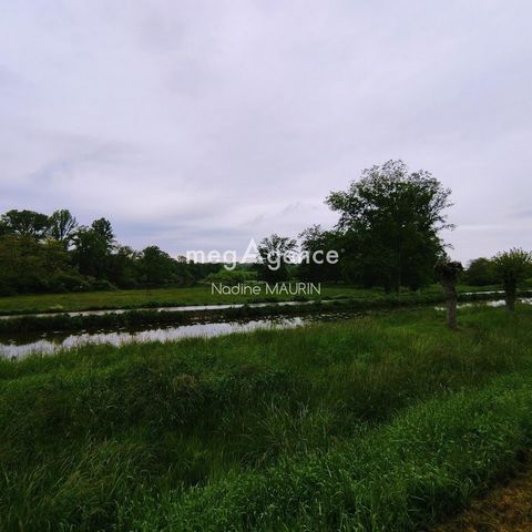 photo no. 3