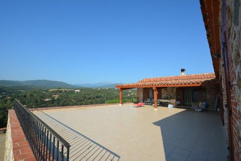 photo no. 2