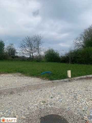 photo no. 3