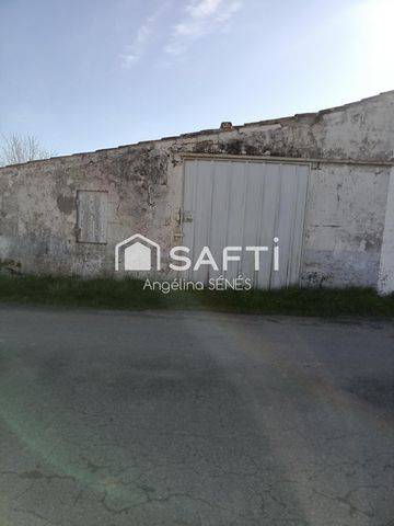 photo no. 4