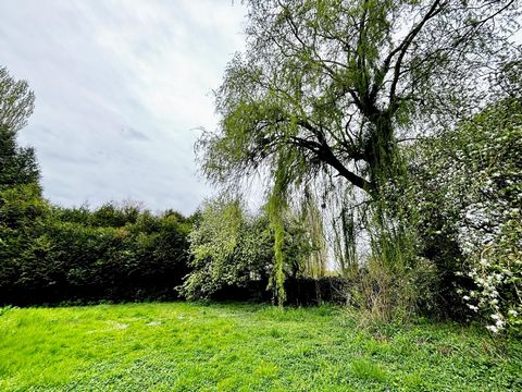 photo no. 17