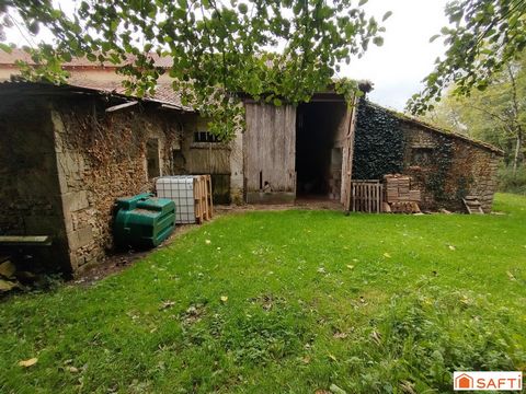 photo no. 2