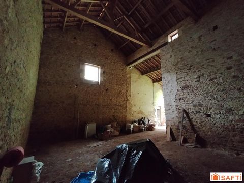 photo no. 3