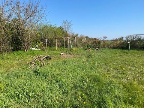 Un havre de paix pour votre futur chez-vous avec ce terrain de 322 m2 hors lotissement !!