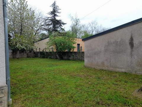 photo no. 2