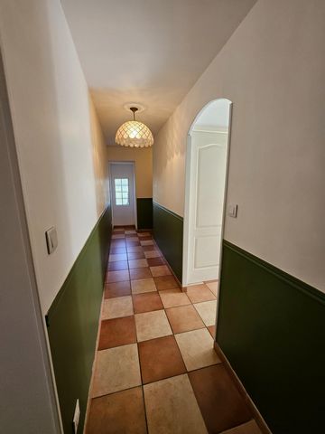photo no. 6
