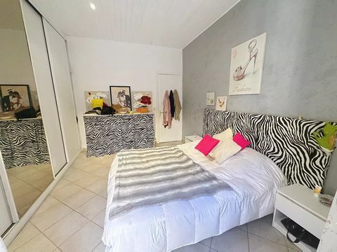 photo no. 12