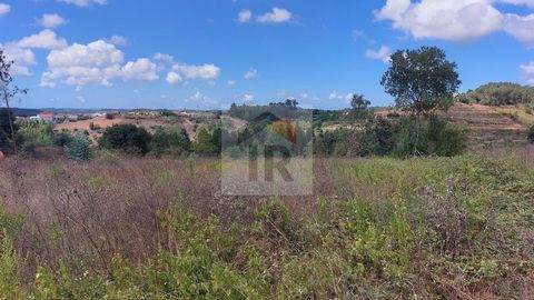 Terreno com cerca de 10.020m2 com viabilidade de construção de 2 moradias unifamiliares. Oferece todas as infraestruturas no local, vistas desafogadas de campo e é muito soalheiro. Localizado a poucos minutos da cidade de Caldas da Rainha e das praia...