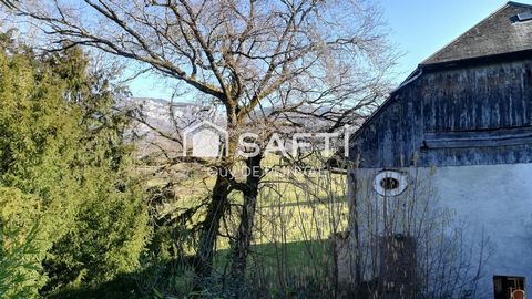 photo no. 5