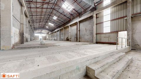 photo no. 12