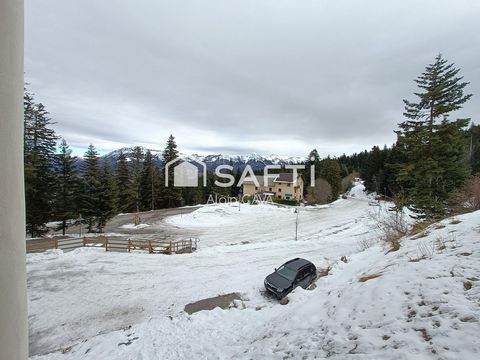 photo no. 12