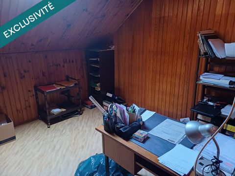 photo no. 12