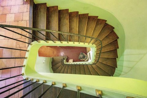 photo no. 9