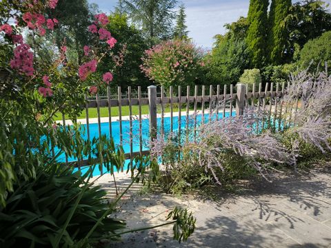 photo no. 14