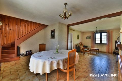 photo no. 2