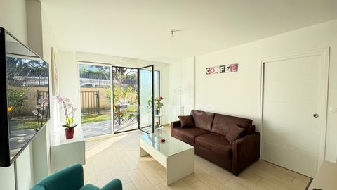 photo no. 2