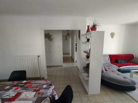 photo no. 12