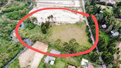 Business opportunity with the purchase of this incredible lot of 10,364 m2 located in Guarne, Vereda Hojas Anchas, 100 meters from the paved near the highway. It is perfect for commercial or residential urban projects. It is located 10 minutes from t...