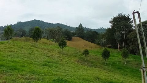 Are you looking for a strategic plot of land to develop a residential project in one of the fastest growing sectors in La Ceja? This opportunity is ideal for you. On this land of approx. 15,000 m2 you can build a project with a beautiful view of the ...