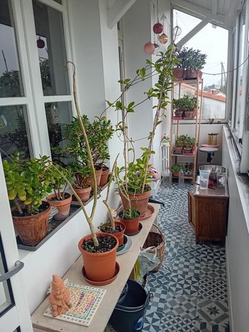 photo no. 4